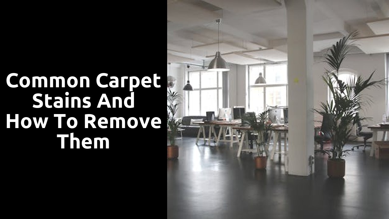 Common Carpet Stains and How to Remove Them