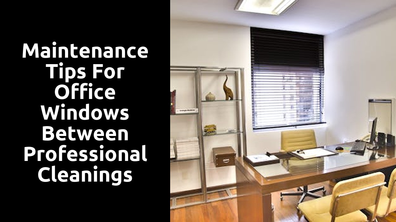 Maintenance Tips for Office Windows Between Professional Cleanings